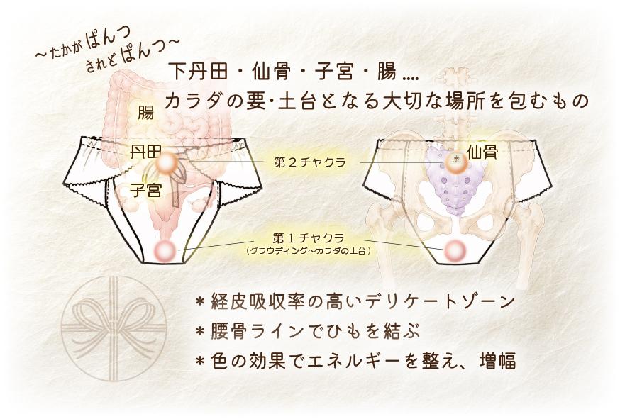 レギュラーサイズ【めぐぱん】＜ほ＞綿100ダブルガーゼふんどし型（クロッチ付）脇～うしろゴム仕様AY-HOG-CGW-R | 10枚目